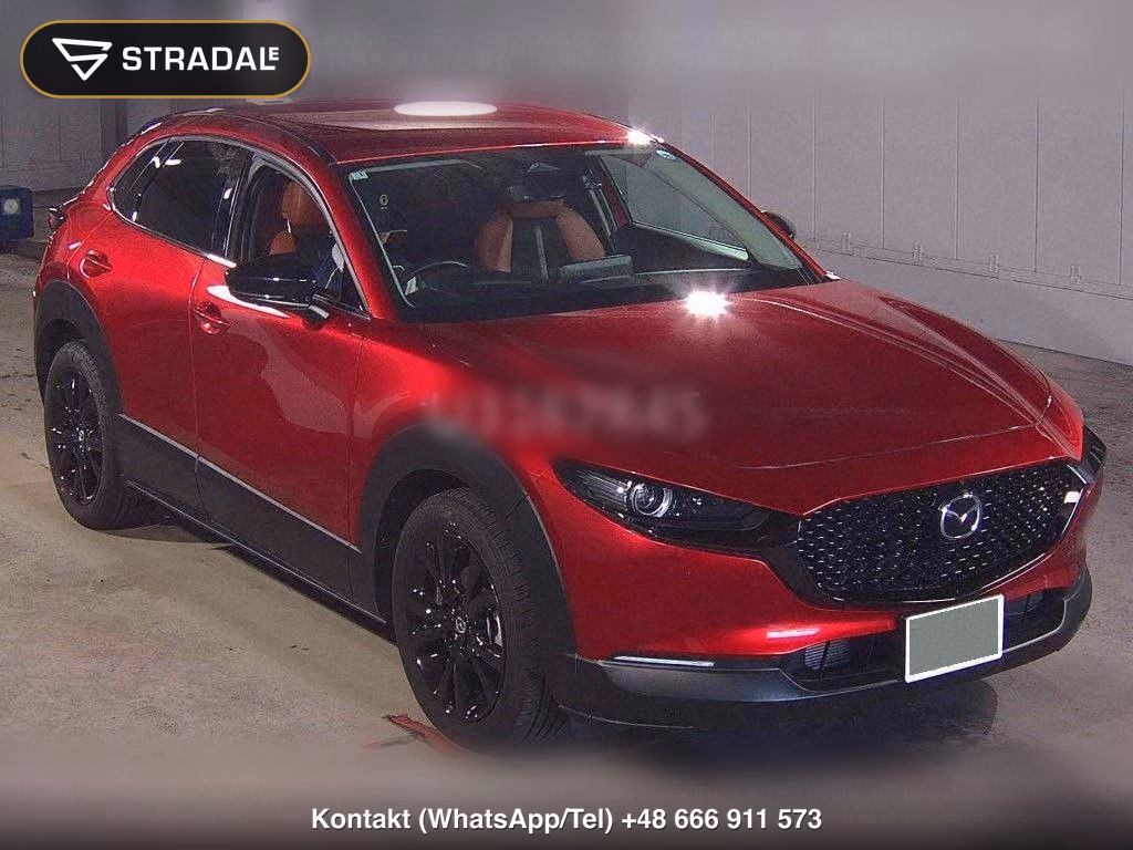 MAZDA CX-30 20S RETRO SPORTS EDITION, miniaturka 2