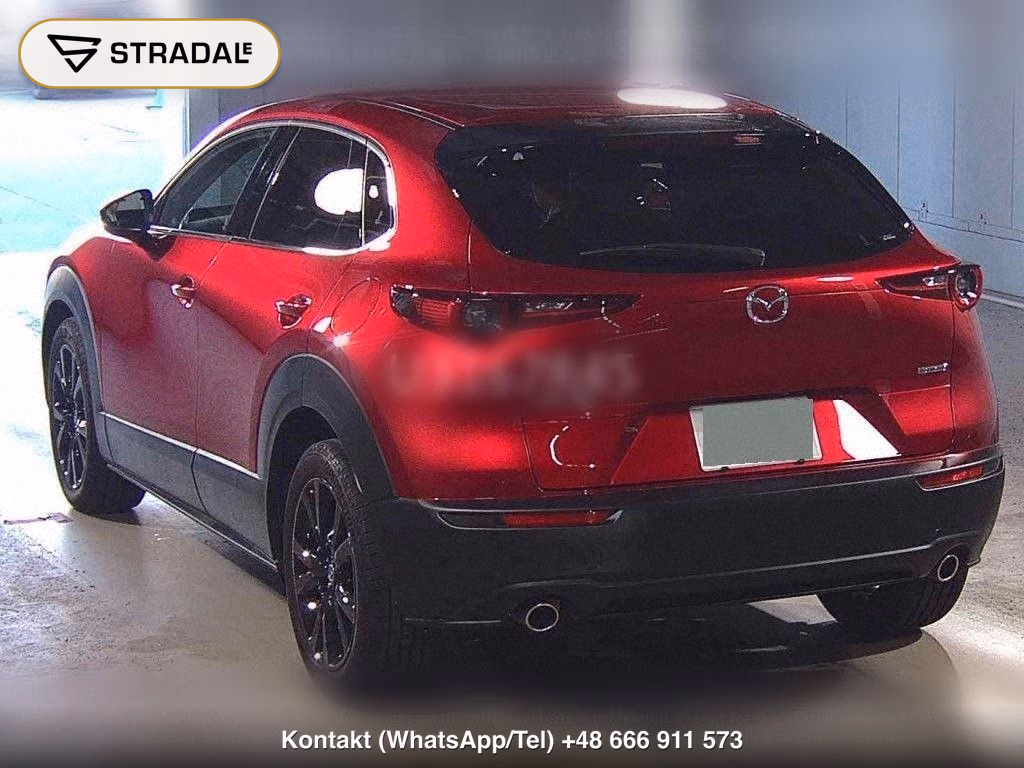 MAZDA CX-30 20S RETRO SPORTS EDITION, miniaturka 3