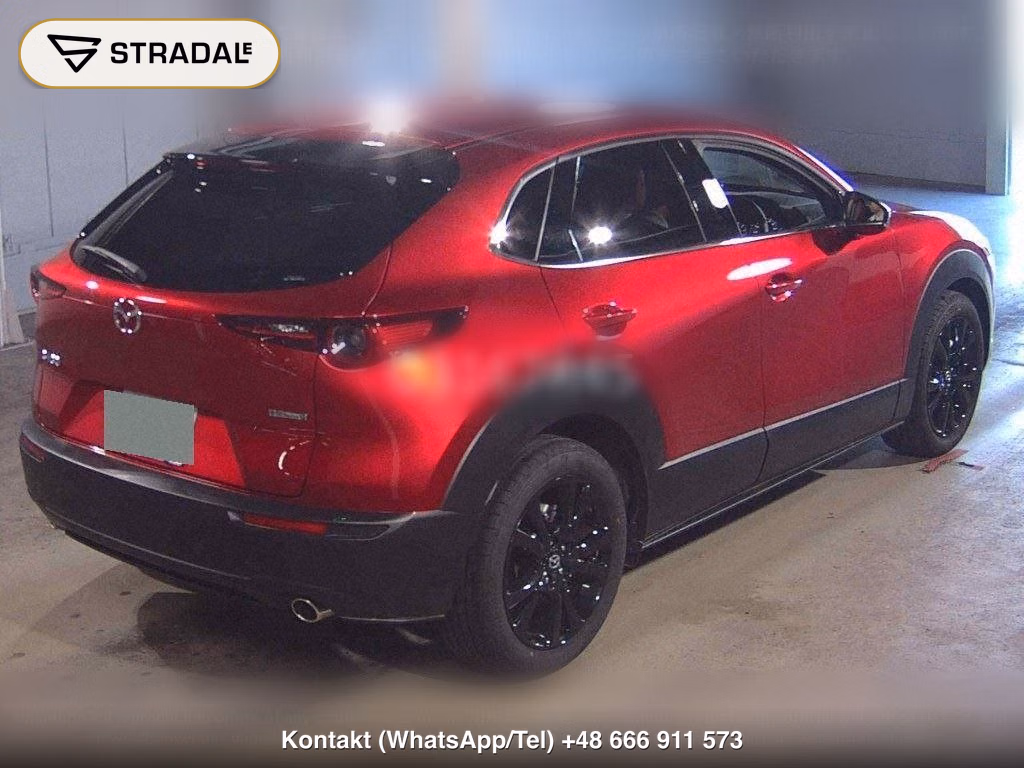 MAZDA CX-30 20S RETRO SPORTS EDITION, miniaturka 6