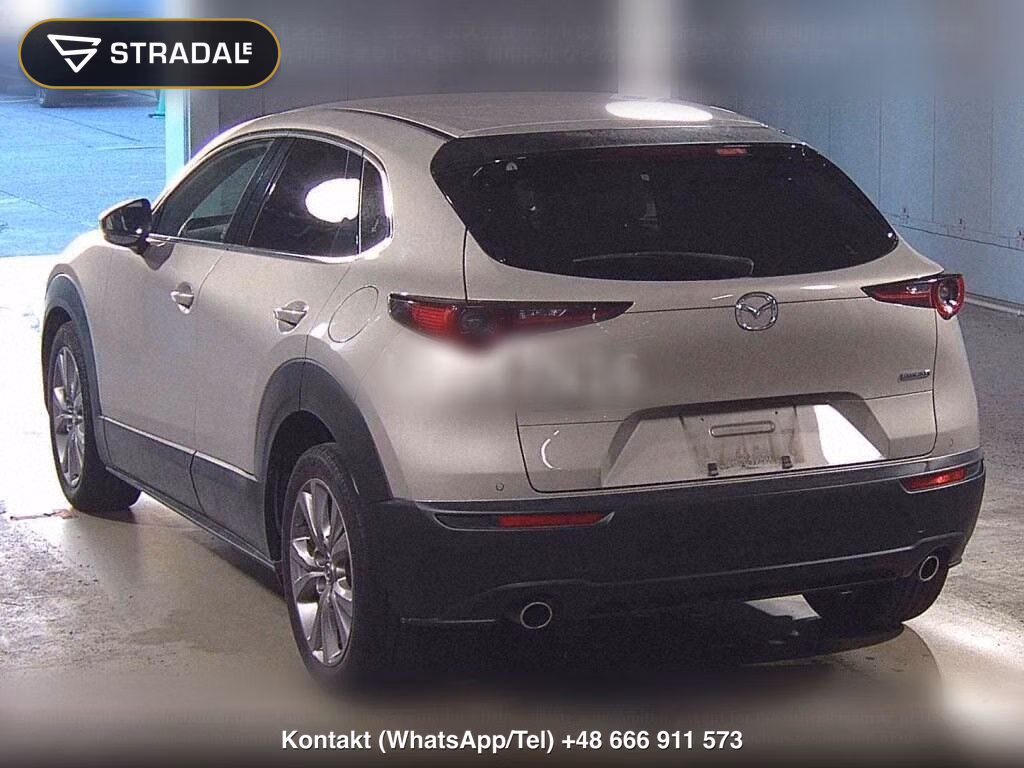 MAZDA CX-30 XD L PACKAGE, miniaturka 3