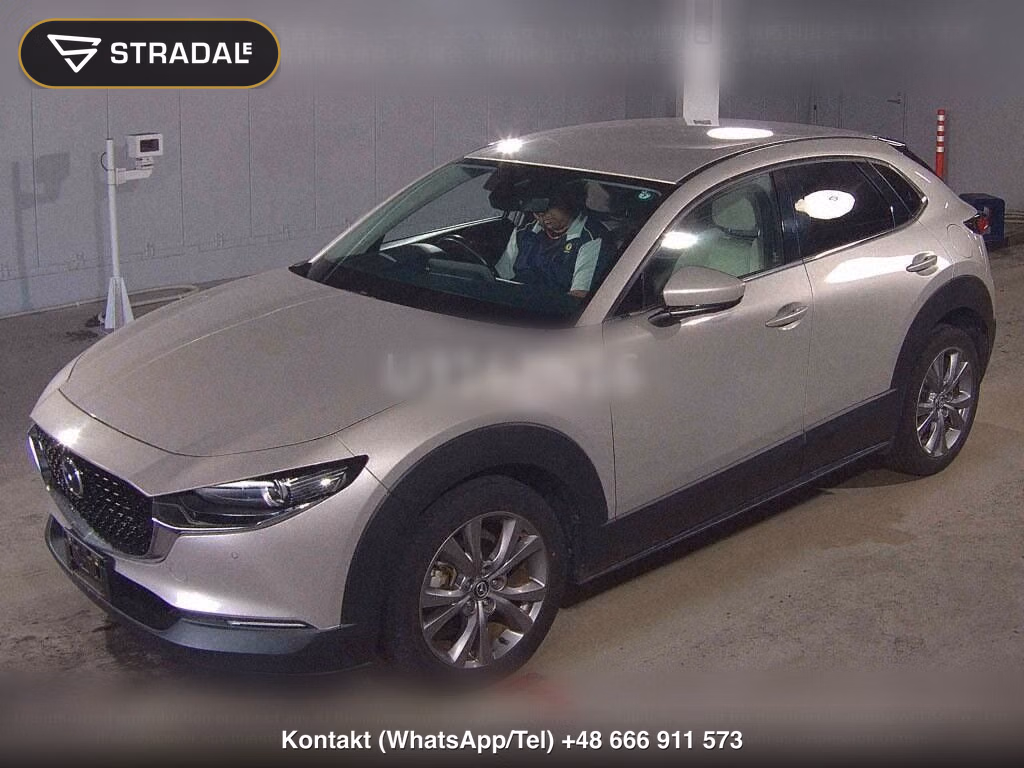 MAZDA CX-30 XD L PACKAGE, miniaturka 5