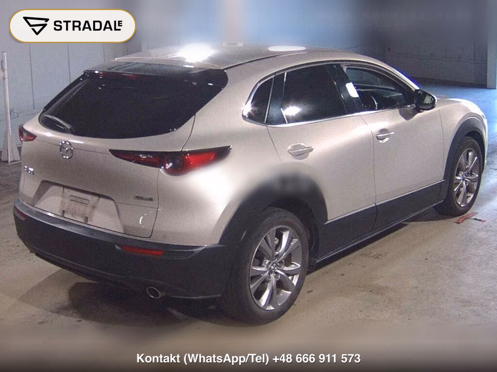 MAZDA CX-30 XD L PACKAGE, miniaturka 6