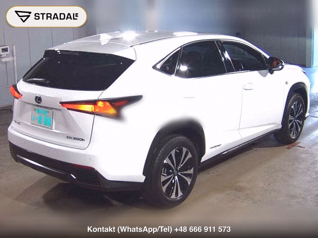 LEXUS NX NX300H F SPORT, miniaturka 6