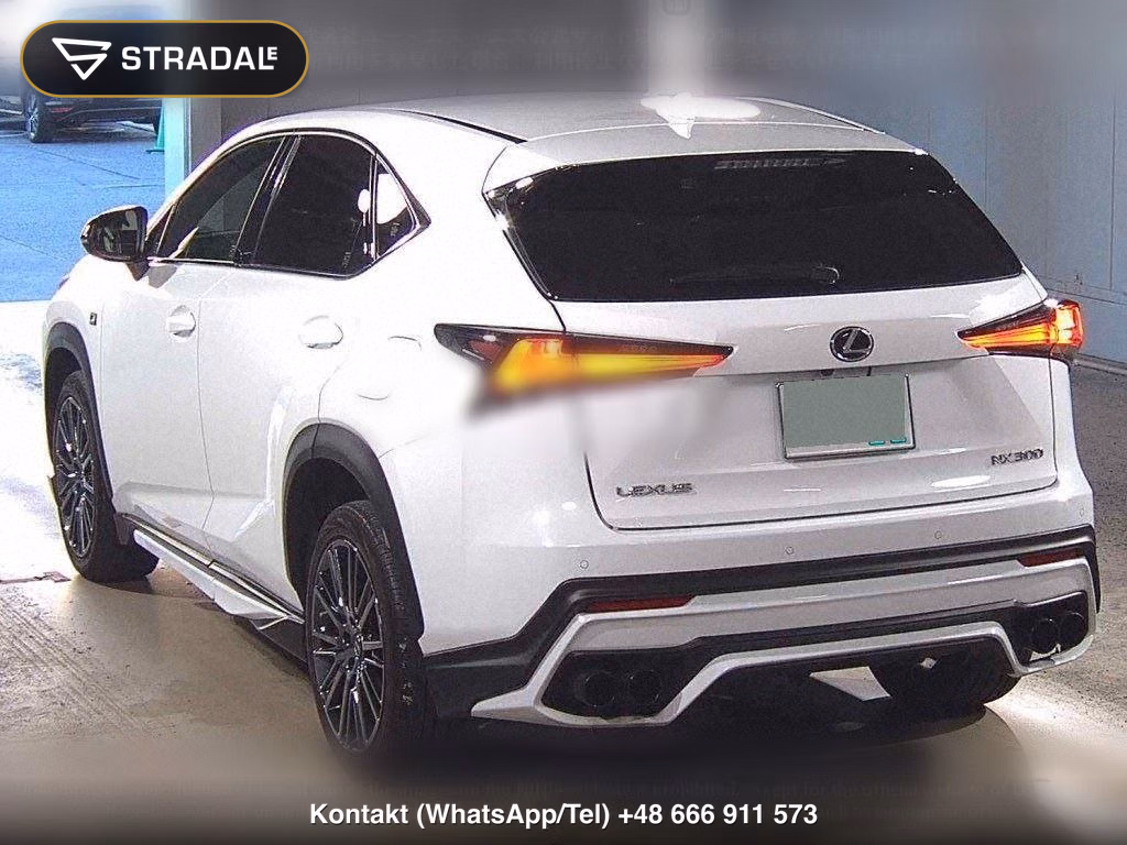LEXUS NX NX300 F SPORT, miniaturka 3