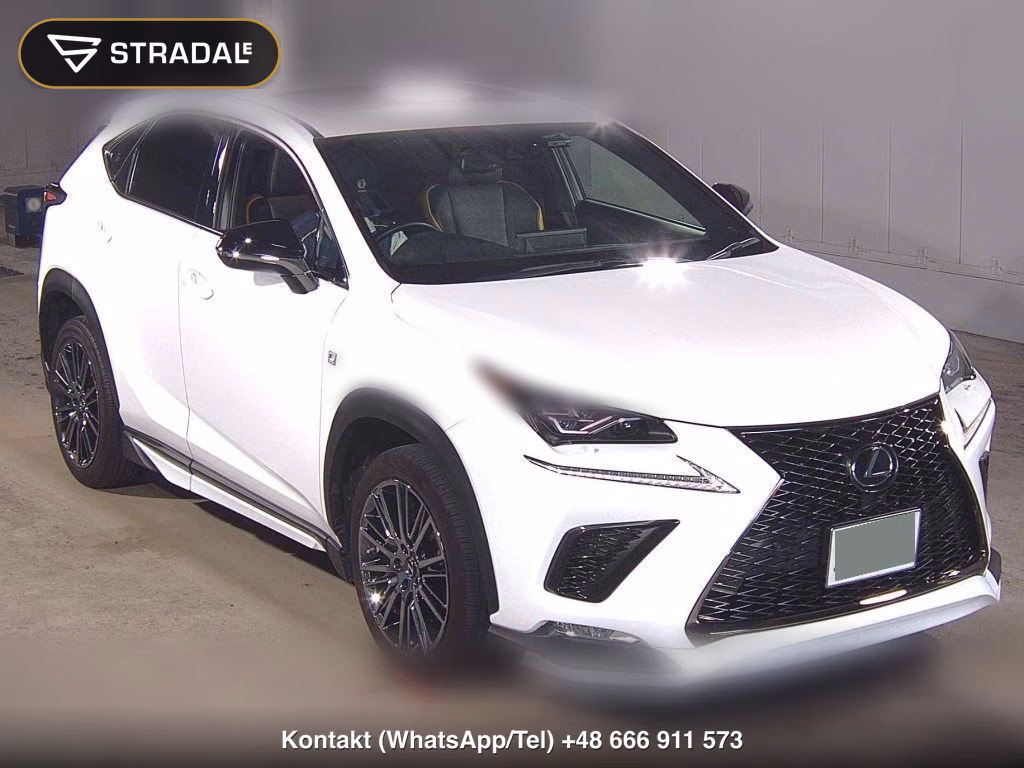 LEXUS NX NX300 F SPORT 2020, aukcja z Japonii, zdjęcie 1