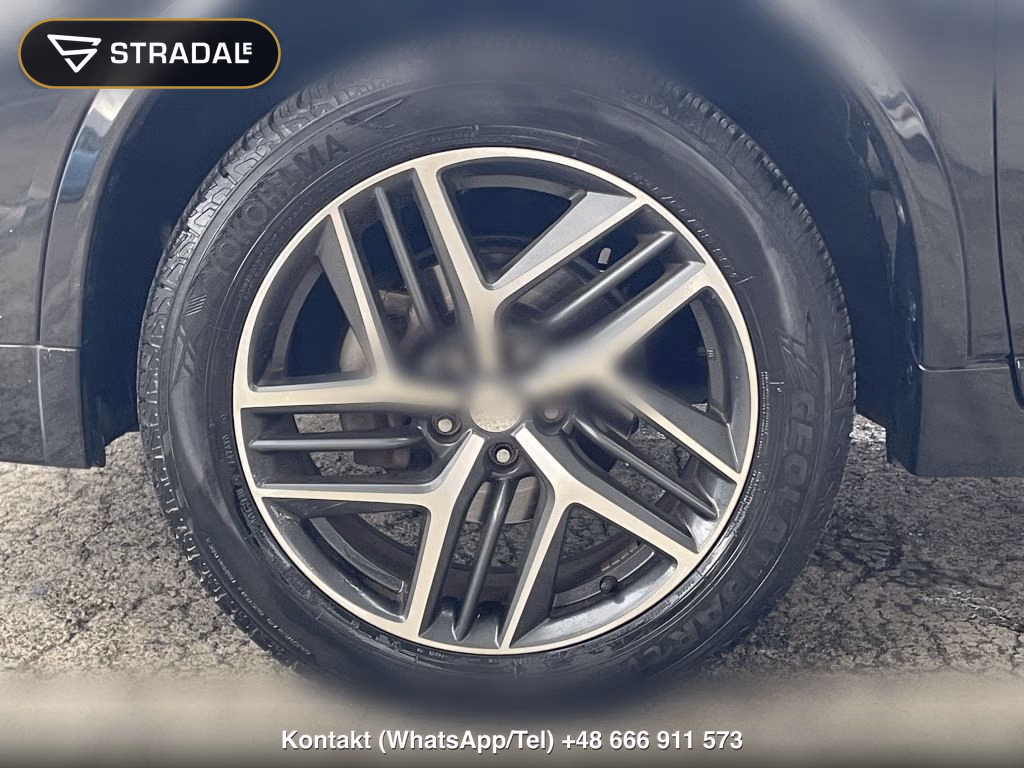 NISSAN X-TRAIL AUTECH I PACKAGE, miniaturka 10