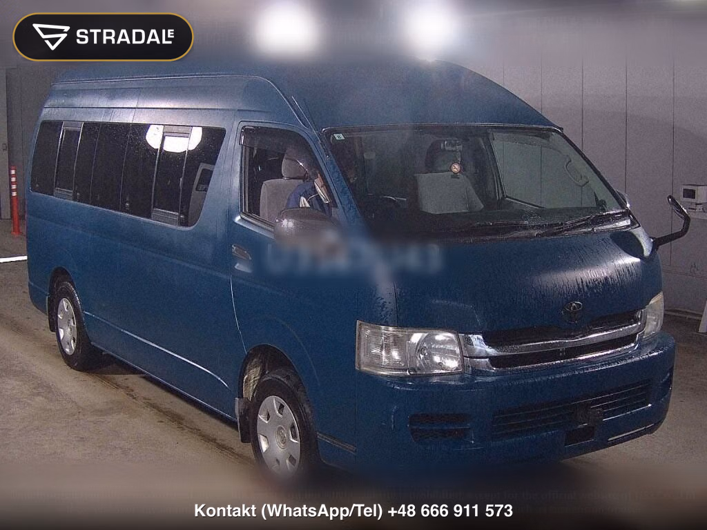 TOYOTA HIACE WAGON 4D 4WD GRAND CABIN, miniaturka 2