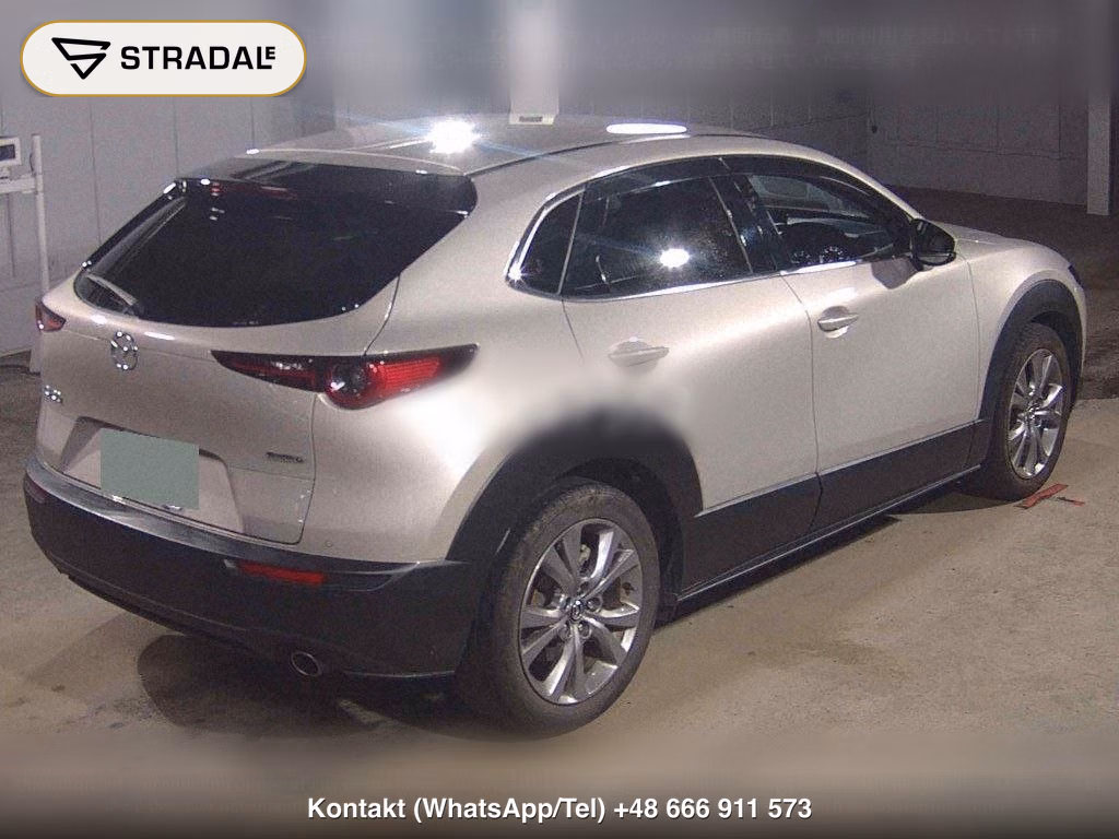 MAZDA CX-30 XD PROACTIVE TOURING SELECTION, miniaturka 6