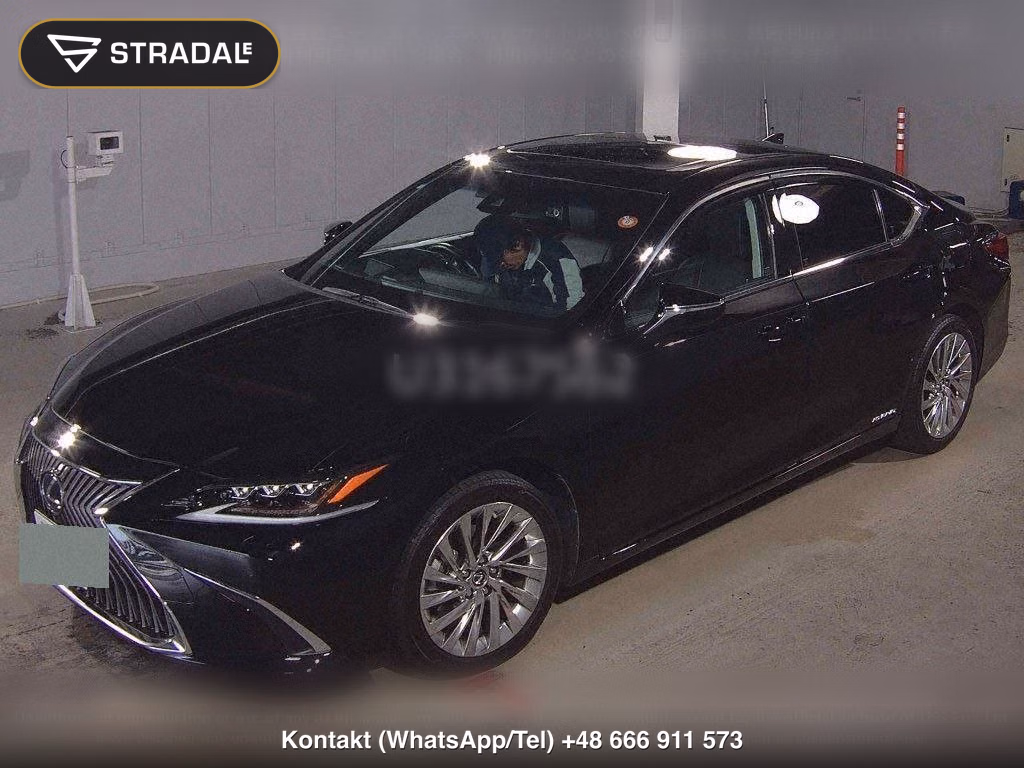 LEXUS ES ES300H VERSION L, miniaturka 5