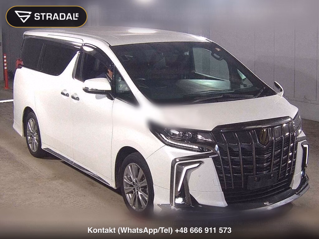 TOYOTA ALPHARD S TYPE GOLDⅢ, miniaturka 2