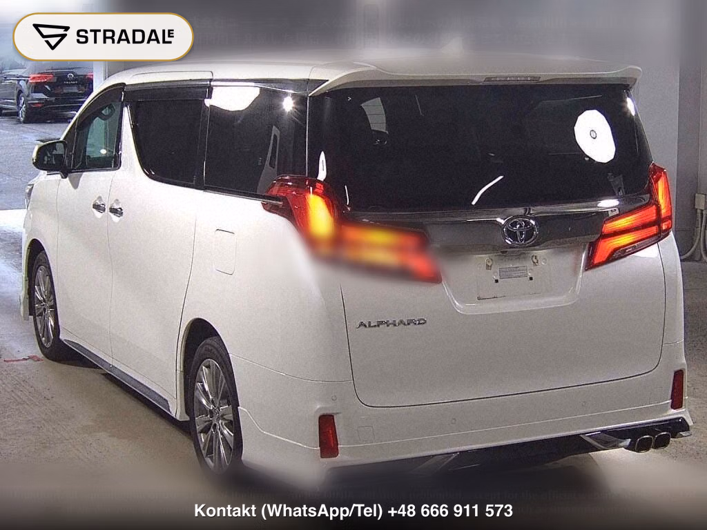 TOYOTA ALPHARD S TYPE GOLDⅢ, miniaturka 3