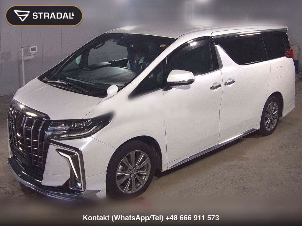 TOYOTA ALPHARD S TYPE GOLDⅢ, miniaturka 5
