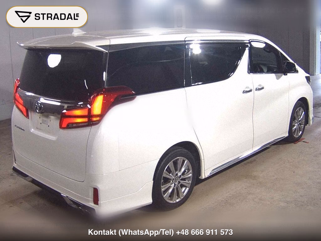 TOYOTA ALPHARD S TYPE GOLDⅢ, miniaturka 6