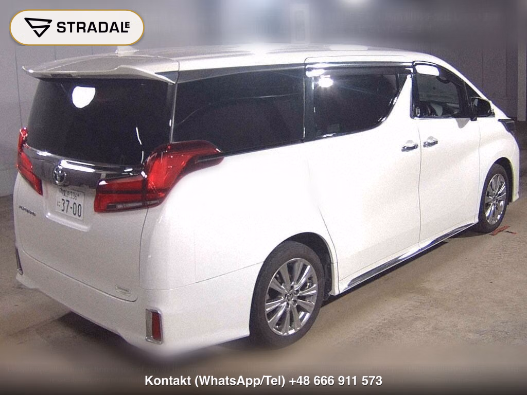 TOYOTA ALPHARD 2.5S TYPE GOLDⅡ, miniaturka 6