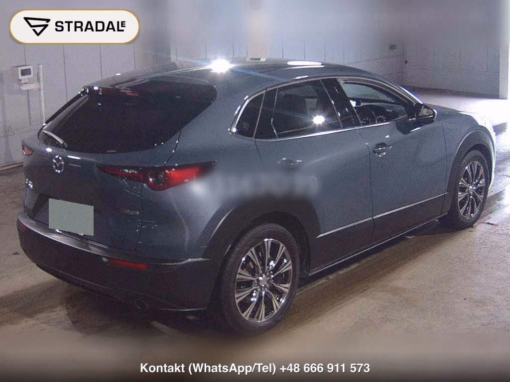 MAZDA CX-30 4WD XD PROACTIVE TOURING SELECTION, miniaturka 6