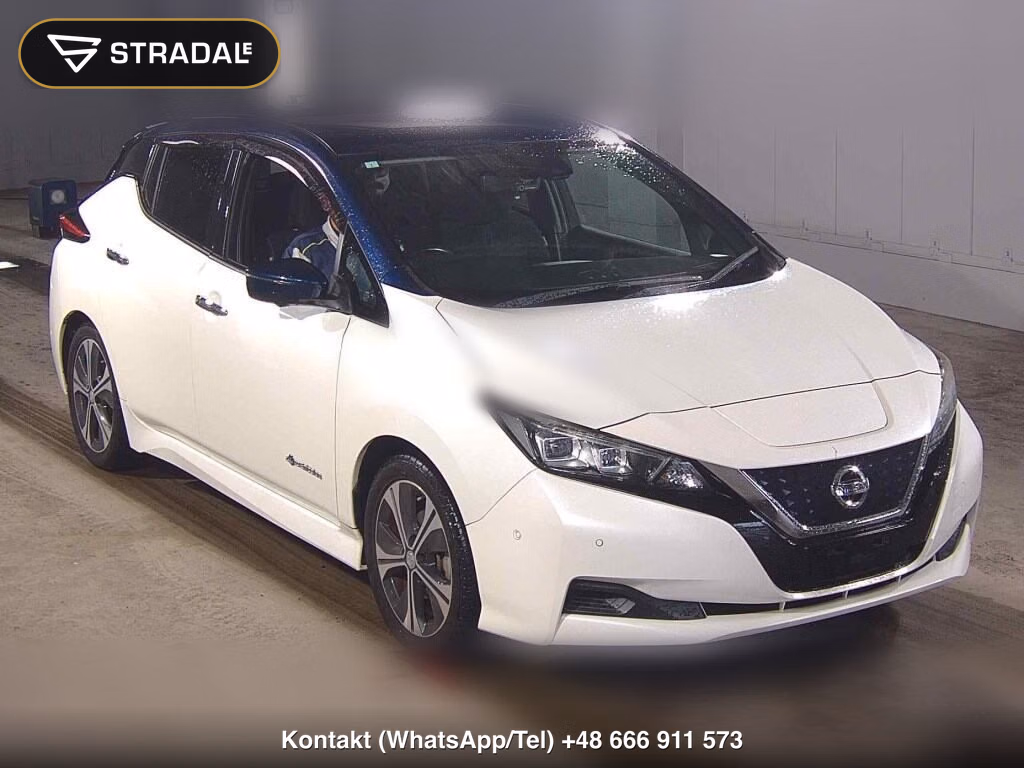 NISSAN LEAF X 2019, aukcja z Japonii, zdjęcie 1