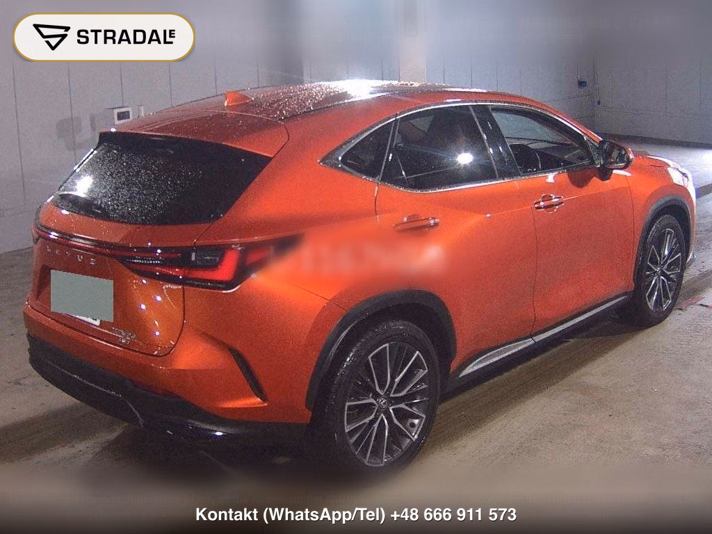 LEXUS NX 4WD NX350H VERSION L, miniaturka 6