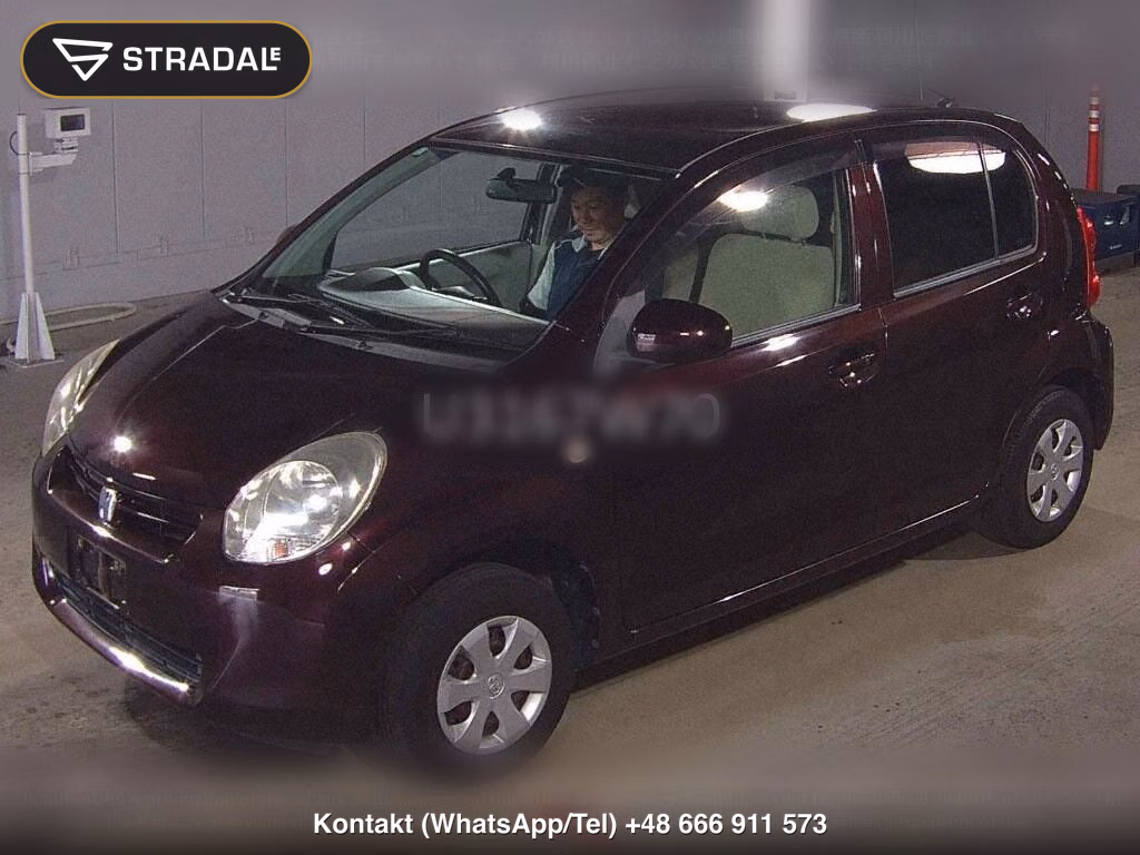 TOYOTA PASSO X YURURI, miniaturka 5