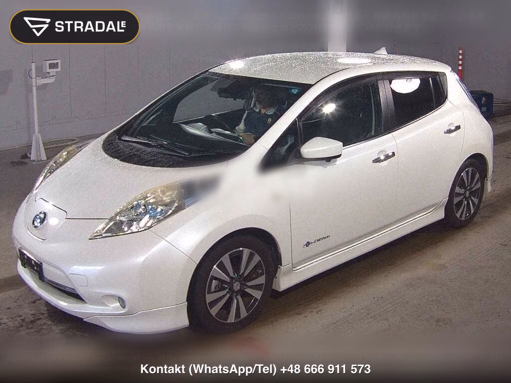 NISSAN LEAF G THANKS EDITION (30KWH), miniaturka 5