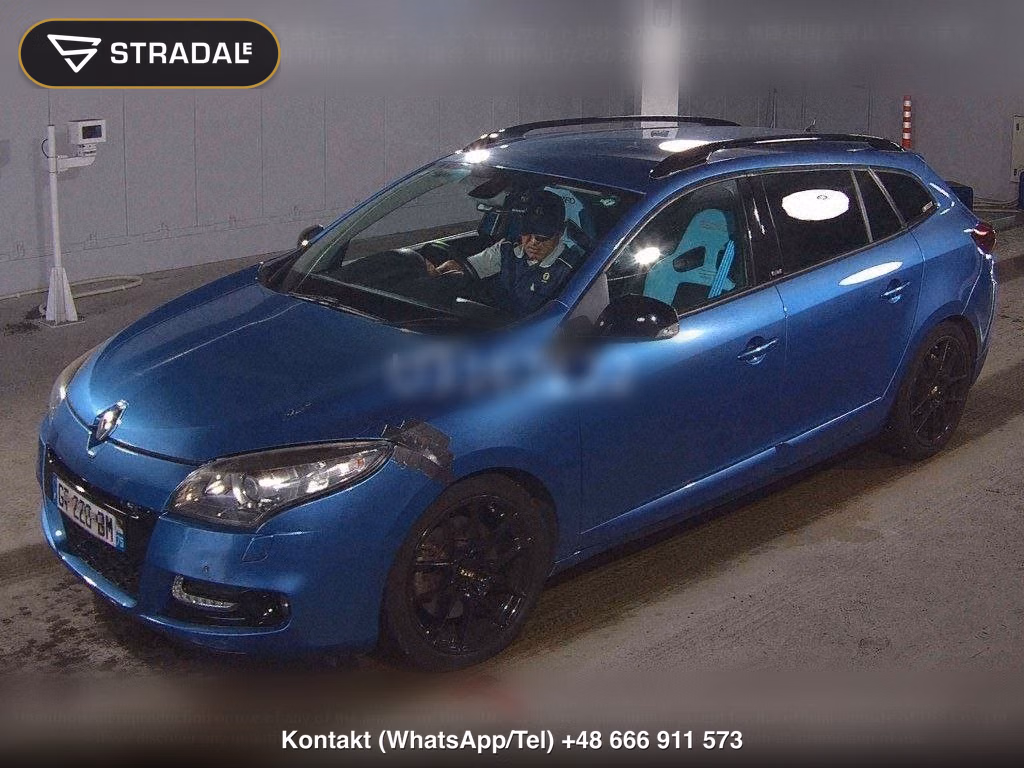 RENAULT MEGANE ESTATE GT 220, miniaturka 5