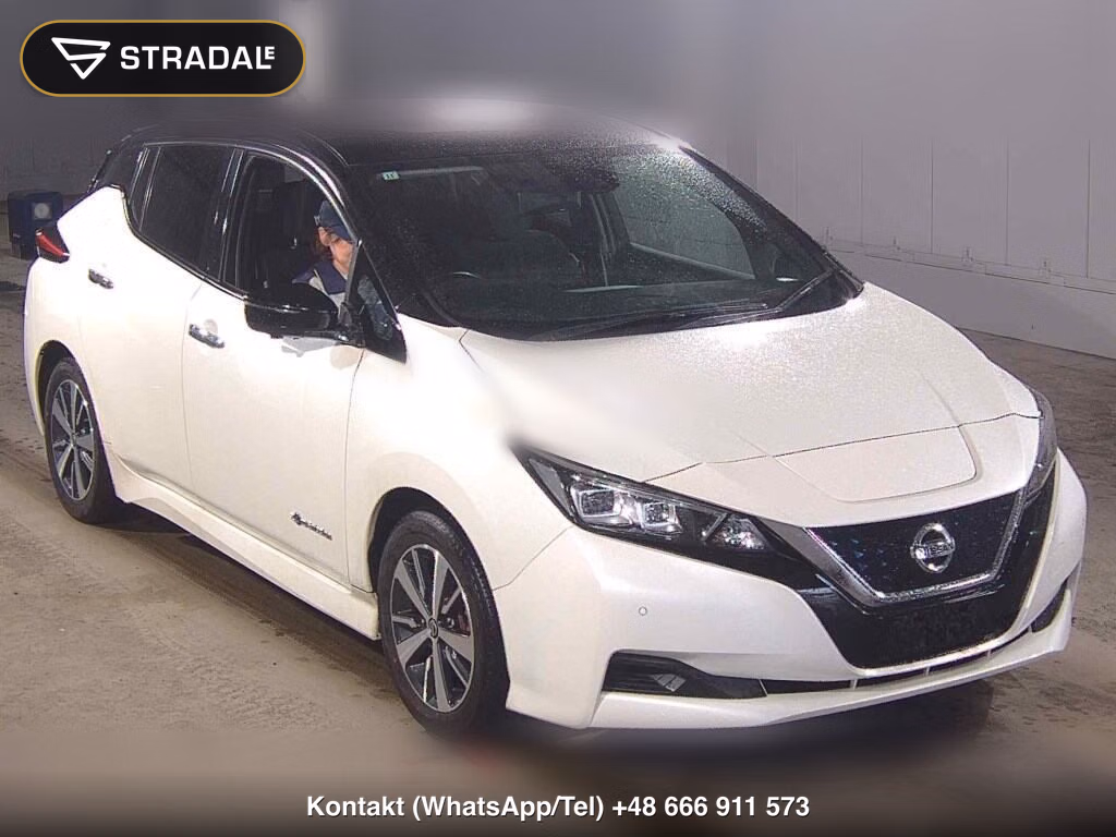 NISSAN LEAF X 2019, aukcja z Japonii, zdjęcie 1