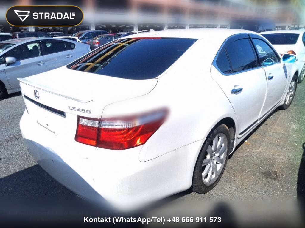 LEXUS LS LS460 I PACKAGE, miniaturka 6