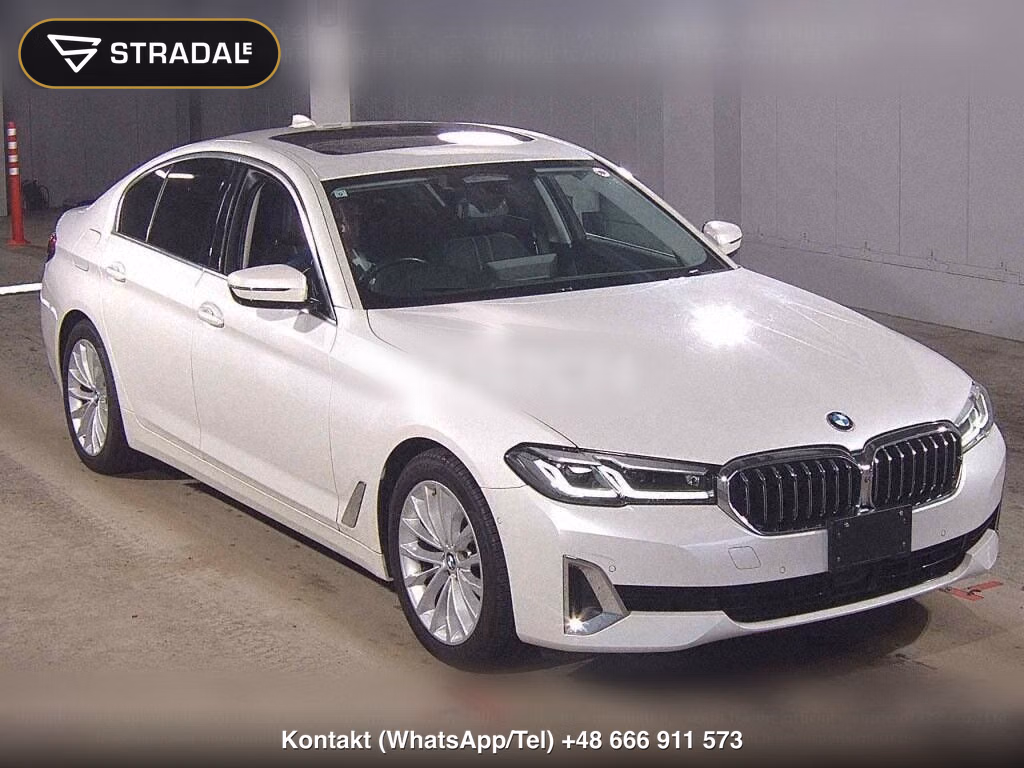 BMW 5 SERIES 4D 4WD 523D XDRIVE LUXURY, miniaturka 2