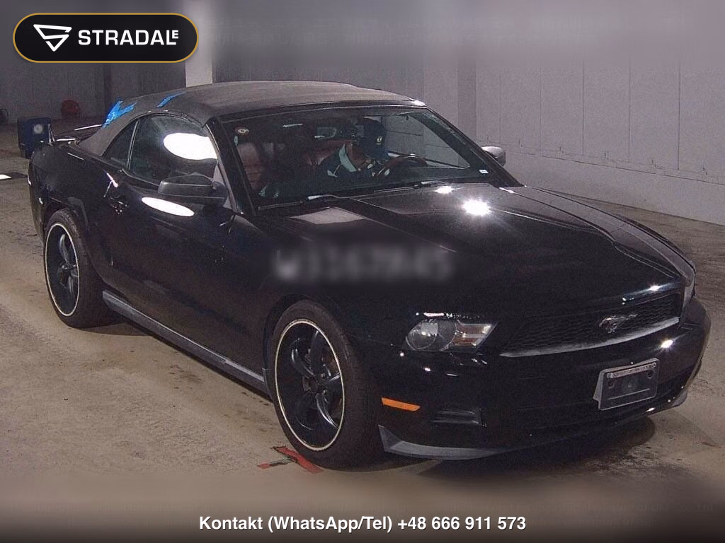 FORD MUSTANG OP, miniaturka 2