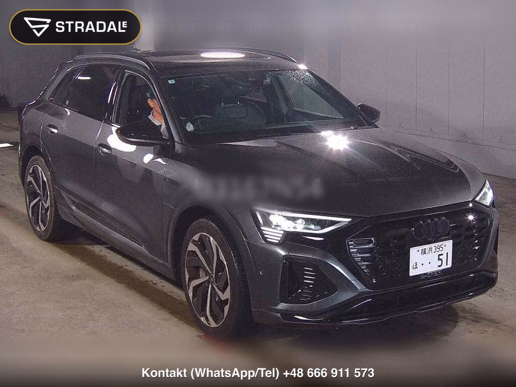 AUDI Q8 E-TRON 4WD 55 QUATTRO S LINE, miniaturka 2