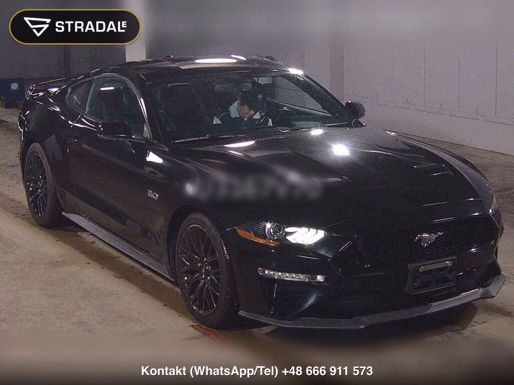 FORD MUSTANG CP V8 GT PERFORMANCE PACKAGE, miniaturka 2