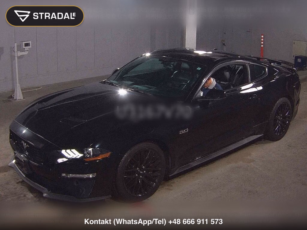 FORD MUSTANG CP V8 GT PERFORMANCE PACKAGE, miniaturka 5