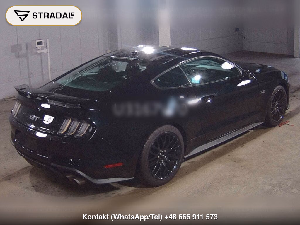 FORD MUSTANG CP V8 GT PERFORMANCE PACKAGE, miniaturka 6