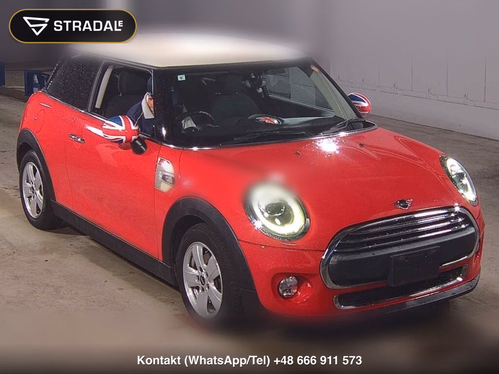 MINI MINI 3D VICTORIA 2019, aukcja z Japonii, zdjęcie 1
