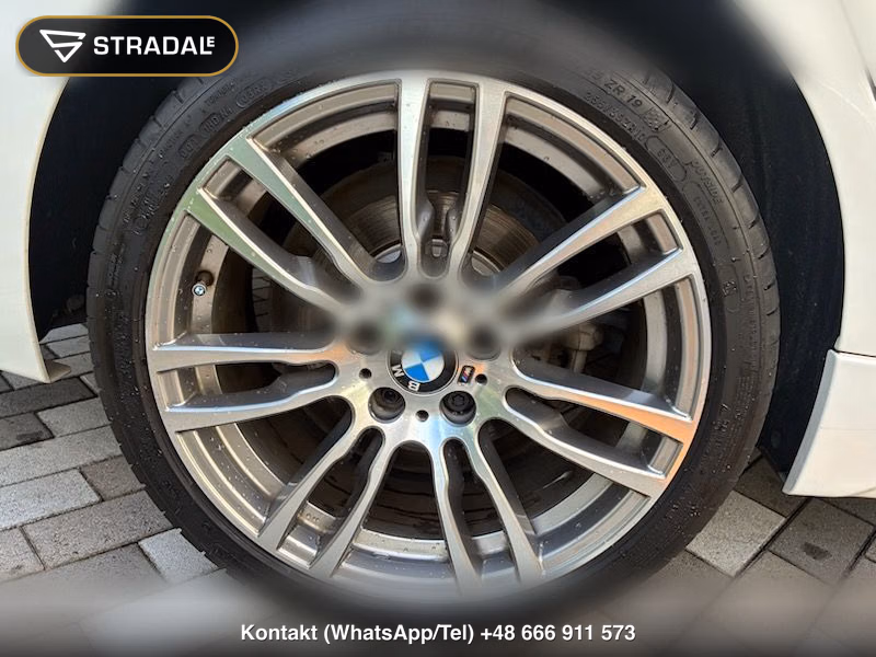 BMW 3 SERIES WG 320D TOURING M-SPORT, miniaturka 10