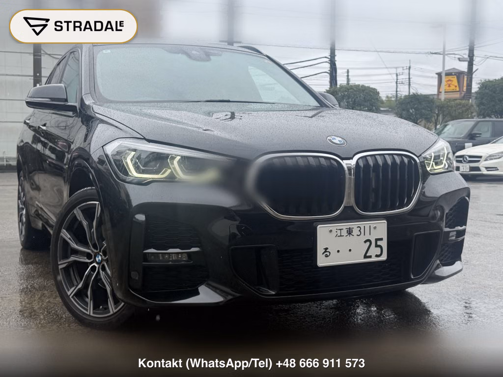 BMW X1 4WD XDRIVE 18D M-SPORT, miniaturka 10