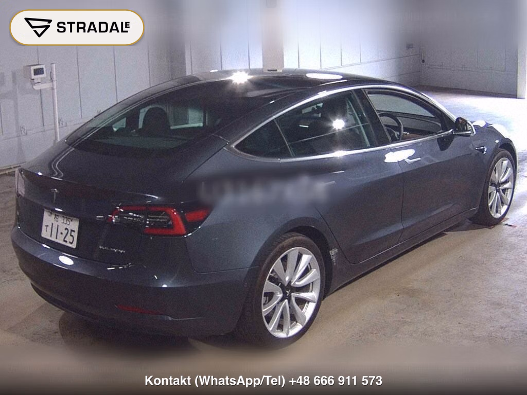 TESLA MODEL 3 4WD LONG RANGE, miniaturka 6