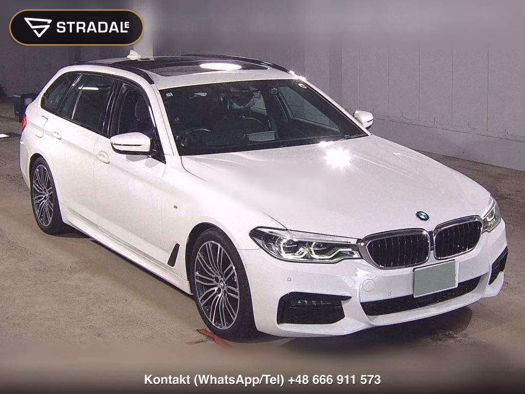 BMW 5 SERIES WG 530I TOURING M-SPORT, miniaturka 2