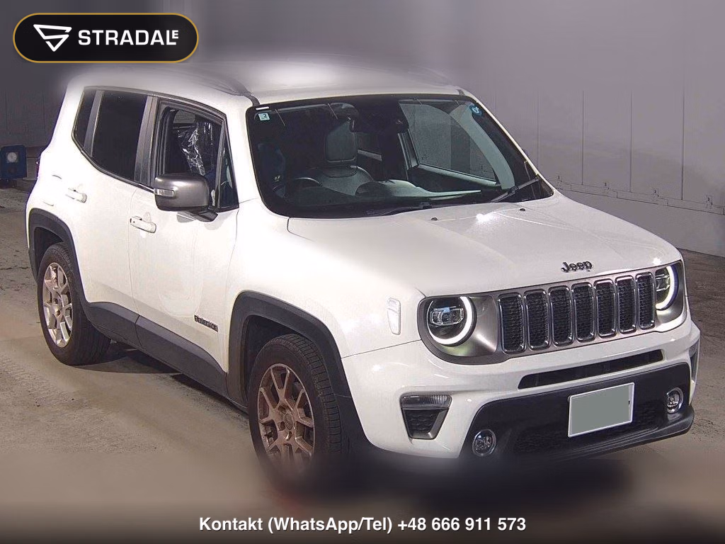 CHRYSLER JEEP JEEP RENEGADE LIMITED 2019, aukcja z Japonii, zdjęcie 1