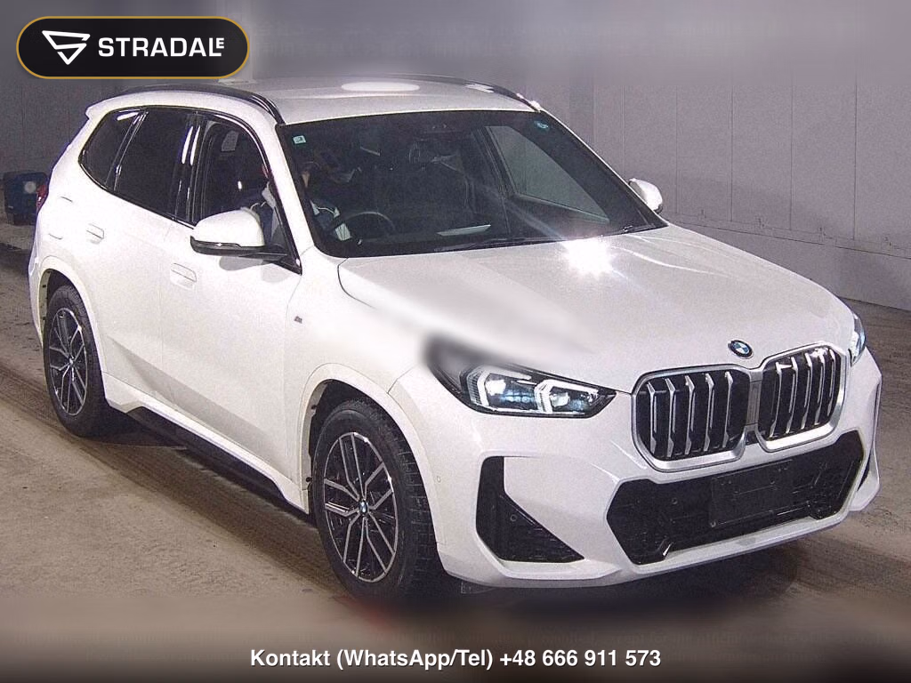 BMW X1 4WD XDRIVE 20D M-SPORT, miniaturka 2