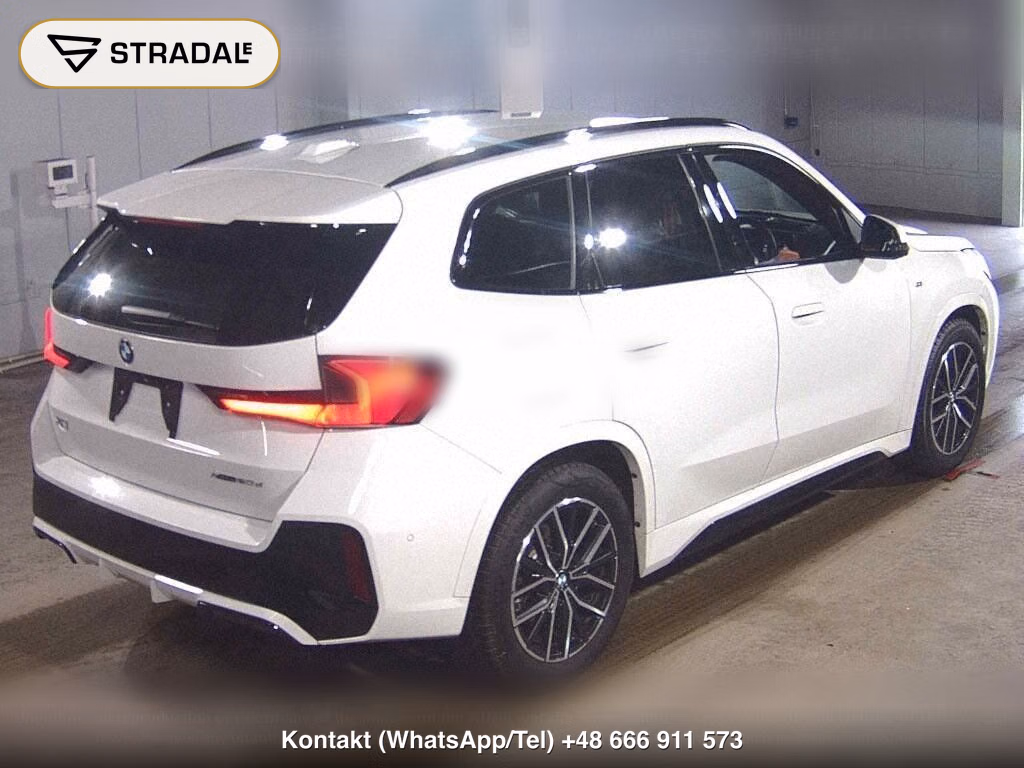 BMW X1 4WD XDRIVE 20D M-SPORT, miniaturka 6