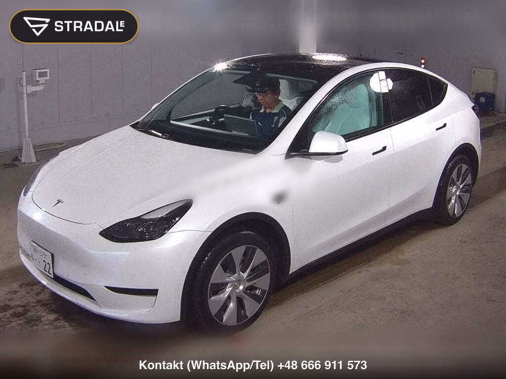 TESLA MODEL Y RWD, miniaturka 5