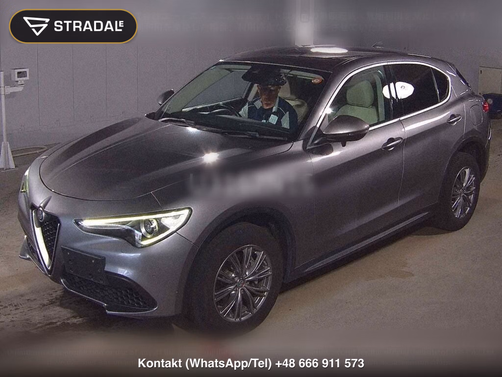 ALFA ROMEO STELVIO 4WD 2.0 TURBO Q4 LUXURY PACKAGE, miniaturka 5
