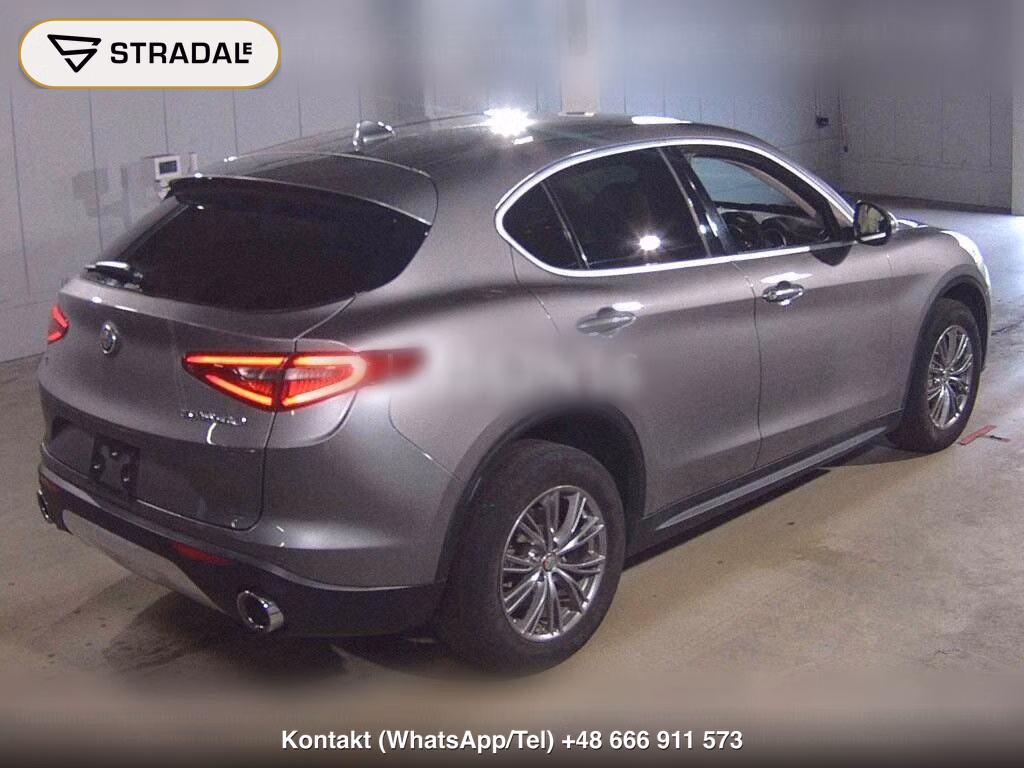 ALFA ROMEO STELVIO 4WD 2.0 TURBO Q4 LUXURY PACKAGE, miniaturka 6