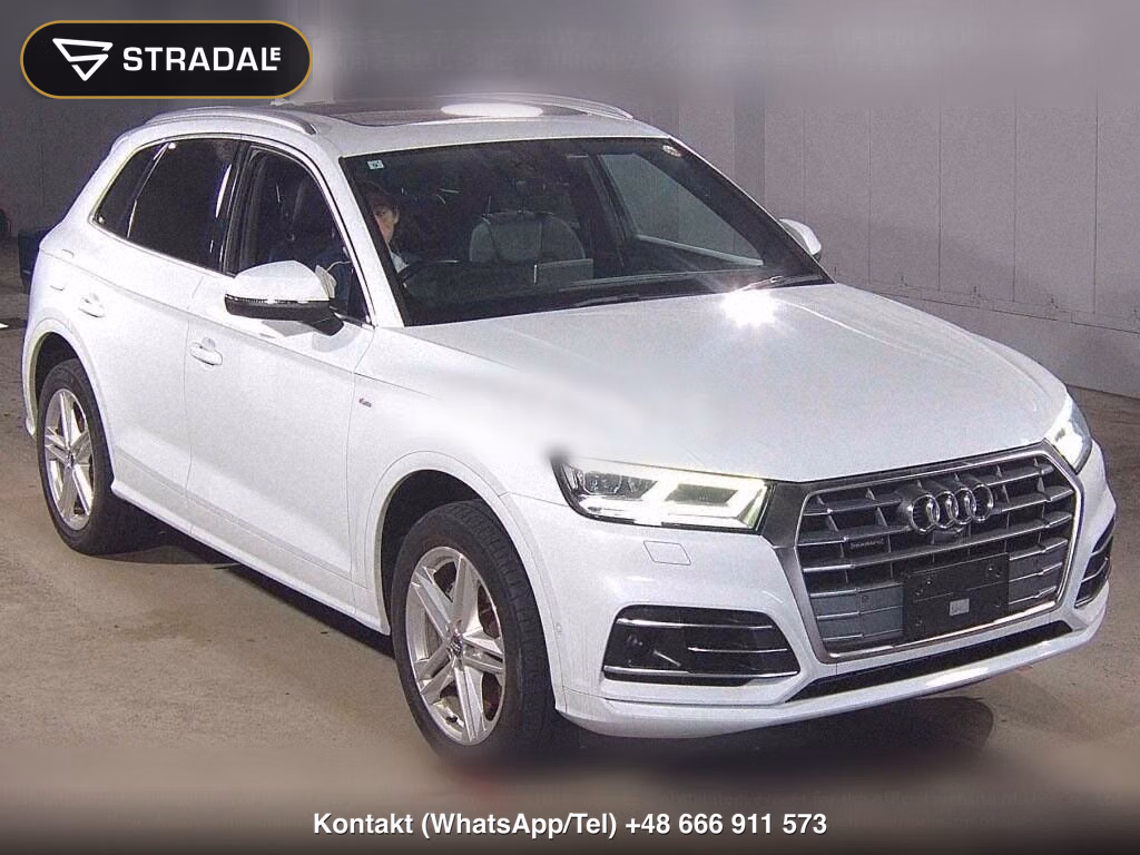 AUDI Q5 4WD 40TDI QUATTRO SPORT S LINE PACKAGE, miniaturka 2