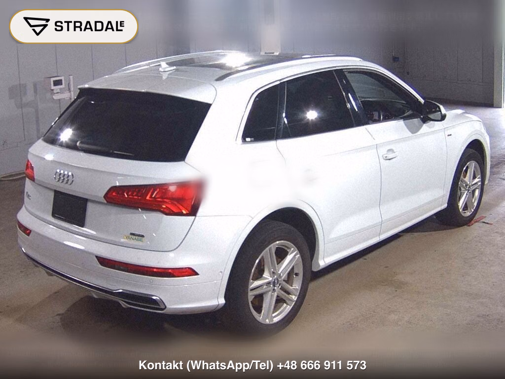 AUDI Q5 4WD 40TDI QUATTRO SPORT S LINE PACKAGE, miniaturka 6