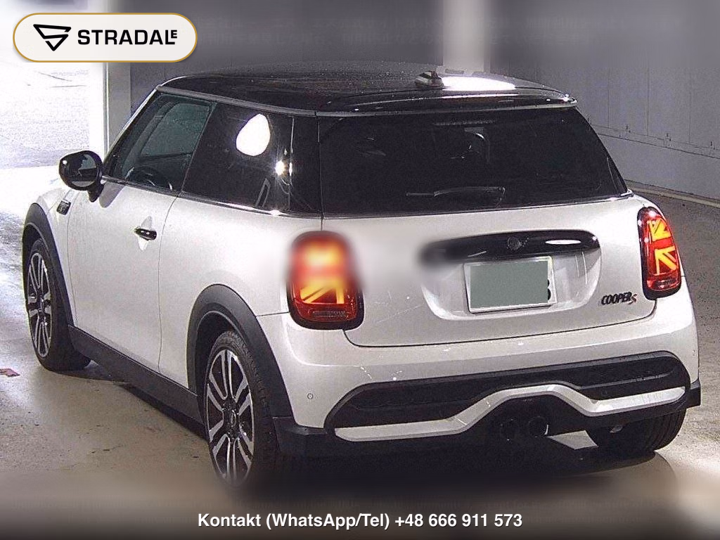 MINI MINI 3D COOPER S, miniaturka 3