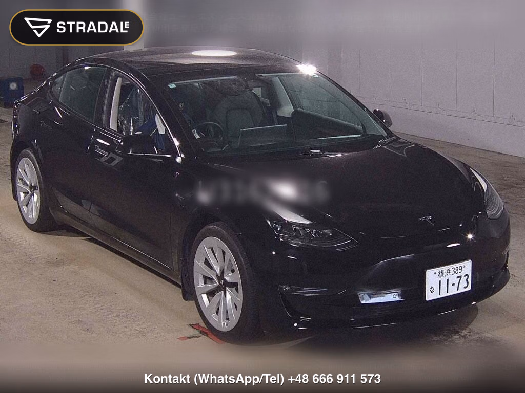 TESLA MODEL 3 4WD LONG RANGE, miniaturka 2