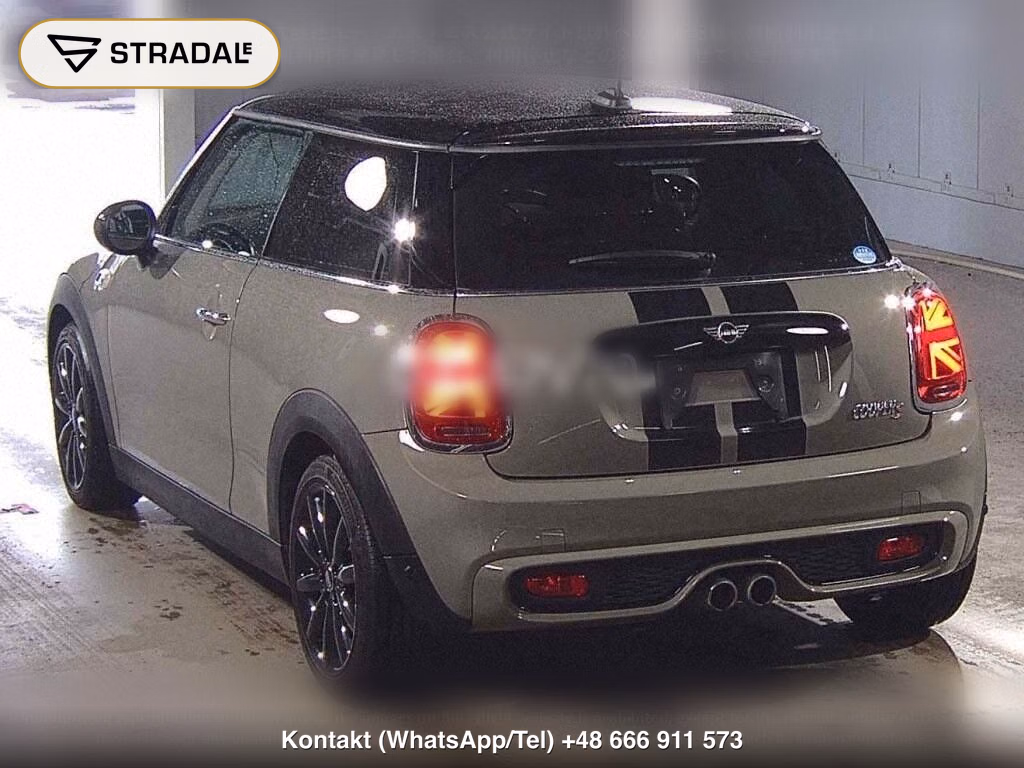 MINI MINI 3D COOPER S, miniaturka 3