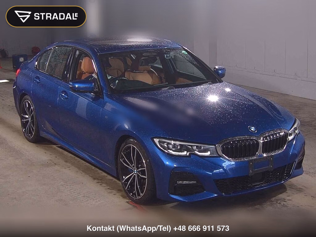 BMW 3 SERIES 4D OTHERS 2019, aukcja z Japonii, zdjęcie 1