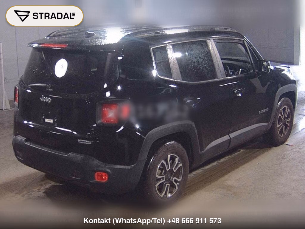 CHRYSLER JEEP JEEP RENEGADE LONGITUDE, miniaturka 6